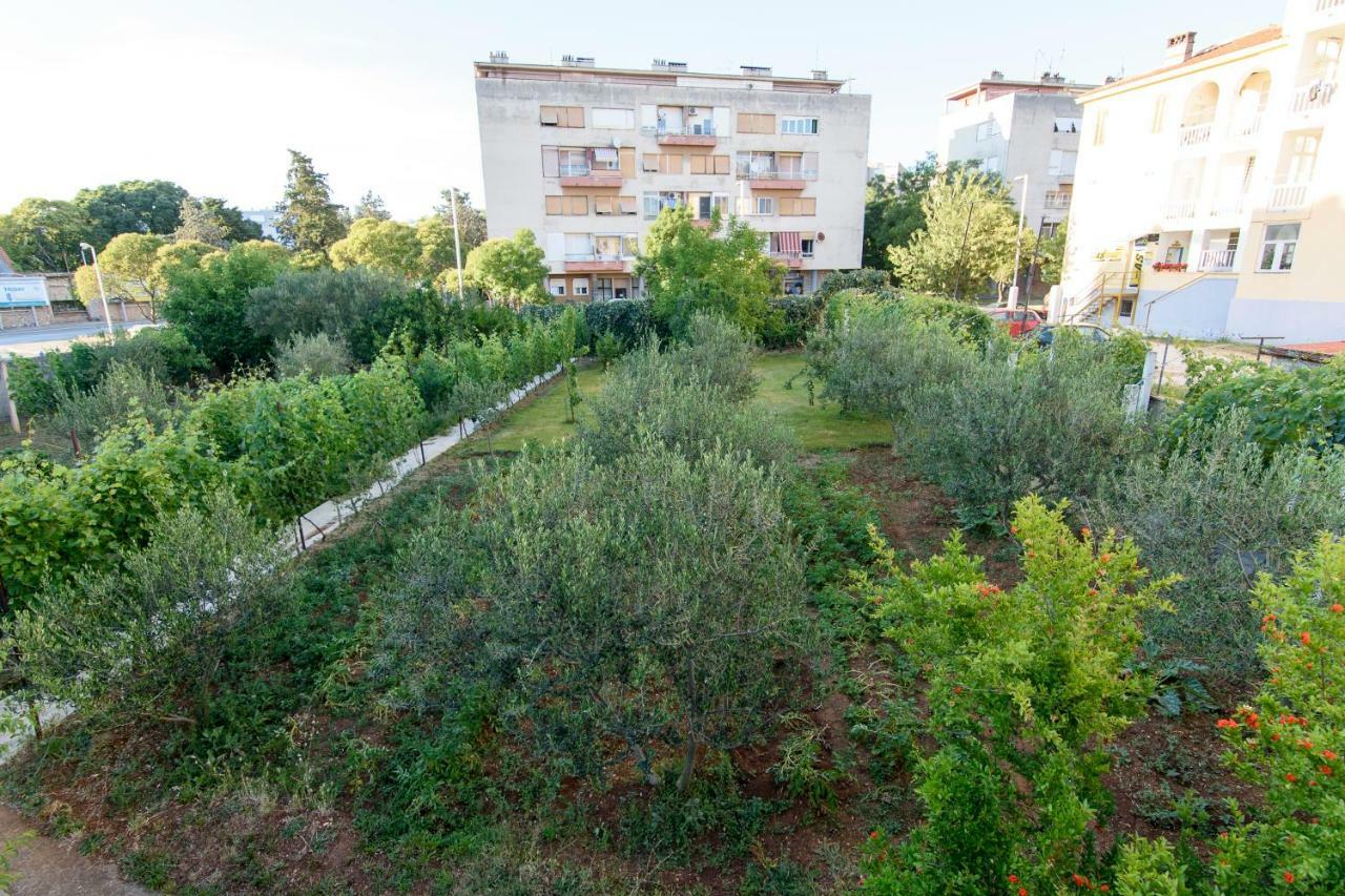 Apartment Relja Zára Kültér fotó
